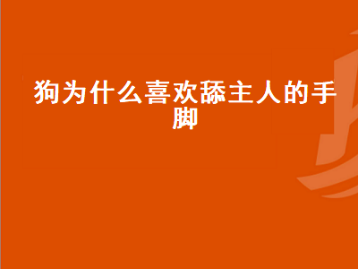 狗为什么喜欢舔主人的手脚（狗为什么喜欢舔主人的手脚的危害）