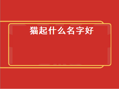 猫起什么名字好（猫起什么名字好听）