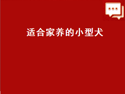 适合家养的小型犬（适合家养的小型犬排名）