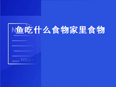 鱼吃什么食物家里食物（小金鱼吃什么食物家里食物）