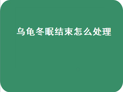 乌龟冬眠结束怎么处理（乌龟冬眠结束怎么处理好）