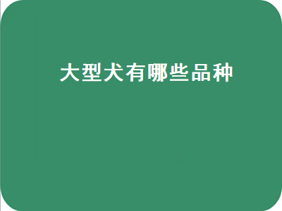 大型犬有哪些品种（长毛大型犬有哪些品种）