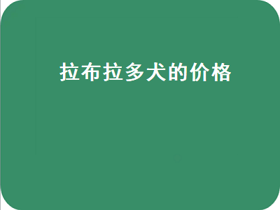 拉布拉多犬的价格（拉布拉多犬的价格小七）