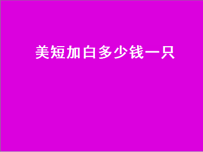 美短加白多少钱一只（美短加白多少钱一只幼崽）