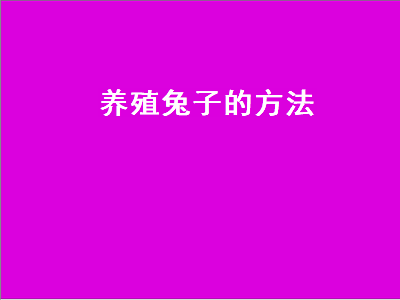 养殖兔子的方法（养殖兔子）