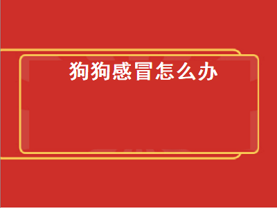 狗狗感冒怎么办（狗狗感冒怎么办最有效）