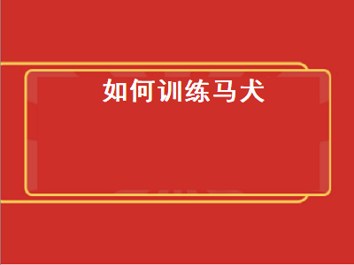 如何训练马犬（如何训练马犬基础动作）