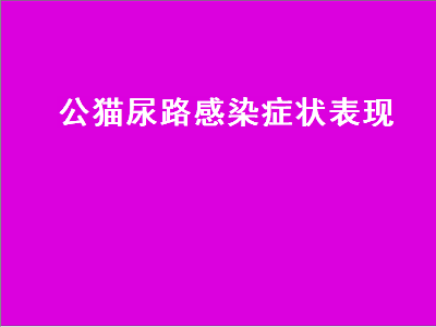 公猫尿路感染症状表现（公猫尿路感染症状表现及家庭处理）