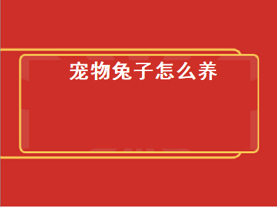 宠物兔子怎么养（宠物兔子怎么养不会臭）