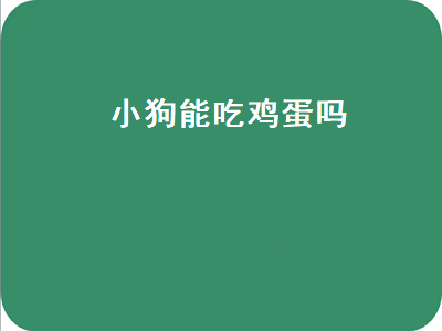 小狗能吃鸡蛋吗（一个多月的小狗能吃鸡蛋吗）