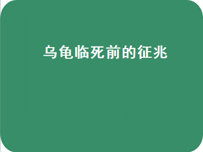 乌龟临死前的征兆（乌龟临死前的征兆图片）