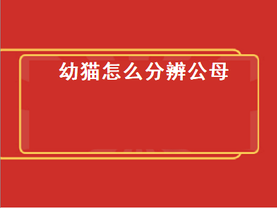 幼猫怎么分辨公母（幼猫怎么分辨公母图解）