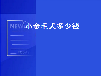 小金毛犬多少钱（小金毛犬多少钱一条）