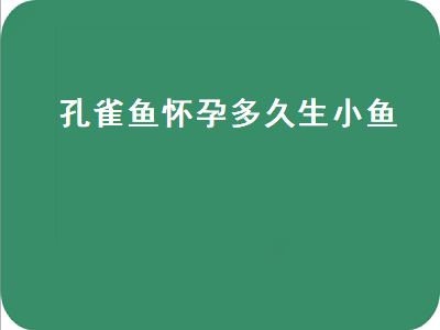 孔雀鱼怀孕多久生小鱼（孔雀鱼怀孕很久,肚子很大了,一直不生）