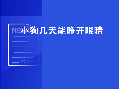 小狗几天能睁开眼睛（小狗几天能睁开眼睛走路）