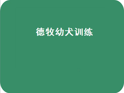 德牧幼犬训练（德牧幼犬训练教程）