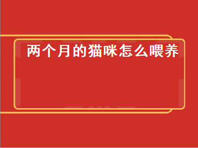 两个月的猫咪怎么喂养（两个月的猫咪怎么喂养要吃什么）