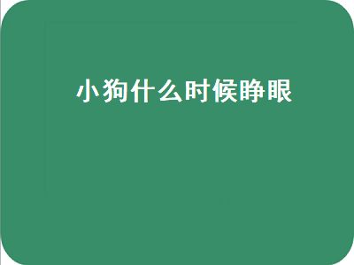 小狗什么时候睁眼（小狗什么时候睁眼睛）