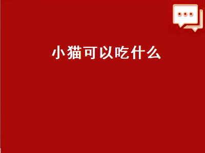 小猫可以吃什么（小猫可以吃什么水果）