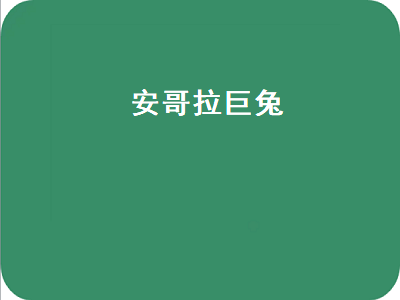 安哥拉巨兔（安哥拉巨兔寿命几年）