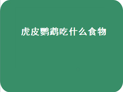 虎皮鹦鹉吃什么食物（虎皮鹦鹉吃什么食物最好）