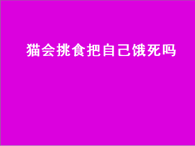 猫会挑食把自己饿死吗（猫会挑食把自己饿死吗流）