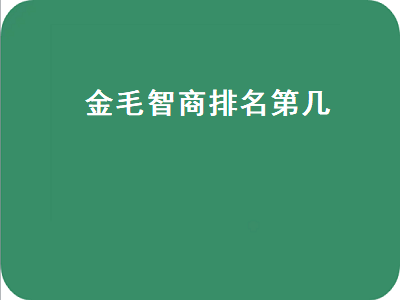 金毛智商排名第几（金毛智商排名第几名）