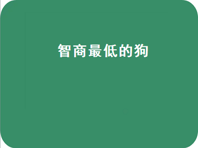 智商最低的狗（智商最低的狗排名前十）