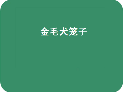 金毛犬笼子（金毛犬笼子尺寸多大合适）