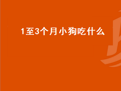 至3个月小狗吃什么（1至3个月小狗吃什么水果）"