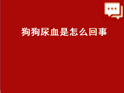 狗狗尿血是怎么回事（狗狗尿血是怎么回事吃什么药）