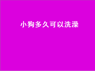 小狗多久可以洗澡（小狗多久可以洗澡一次）