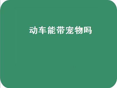 动车能带宠物吗（高铁动车能带宠物吗）