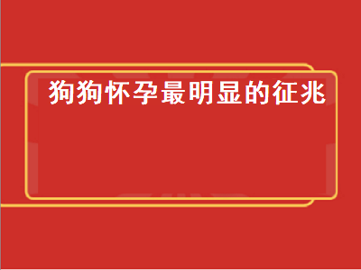 狗狗怀孕最明显的征兆（狗狗怀孕最明显的征兆是什么样的）