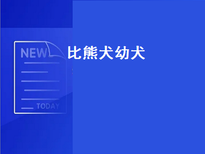 比熊犬幼犬（比熊犬幼犬图片）