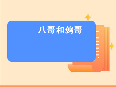 八哥和鹩哥（八哥和鹩哥哪个说话能力强）