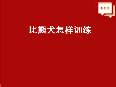 比熊犬怎样训练（比熊犬怎样训练大小便）