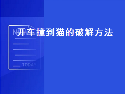 开车撞到猫的破解方法（晚上开车撞到猫的破解方法）