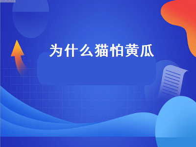 为什么猫怕黄瓜（为什么猫怕黄瓜在身后）