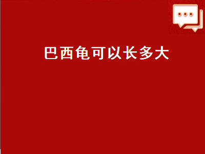 巴西龟可以长多大（巴西龟可以长多大 最大）