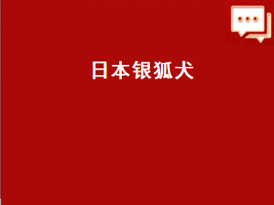 日本银狐犬（日本银狐犬一只最少多少元）