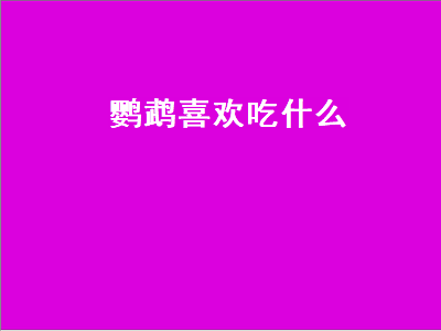 鹦鹉喜欢吃什么（鹦鹉喜欢吃什么东西）