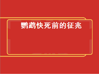 鹦鹉快死前的征兆（虎皮鹦鹉快死前的征兆）