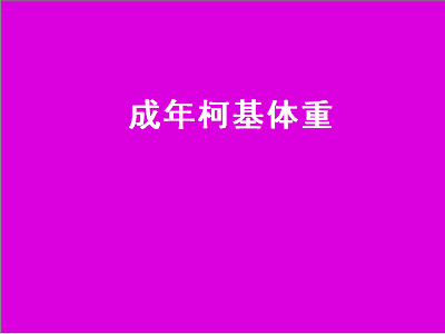 成年柯基体重（成年柯基体重多少算正常）