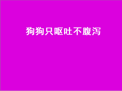 狗狗只呕吐不腹泻（狗狗只呕吐不腹泻没精神）