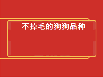 不掉毛的狗狗品种（不掉毛的狗狗品种排行）