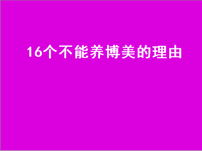 6个不能养博美的理由（16个不能养博美的理由十大忠诚的狗排名）"