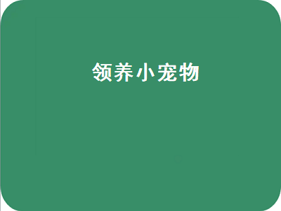 领养小宠物（领养小宠物的软件）