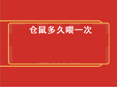 仓鼠多久喂一次（仓鼠多久喂一次水）