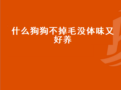 什么狗狗不掉毛没体味又好养（什么狗狗不掉毛没体味又好养的小型犬）